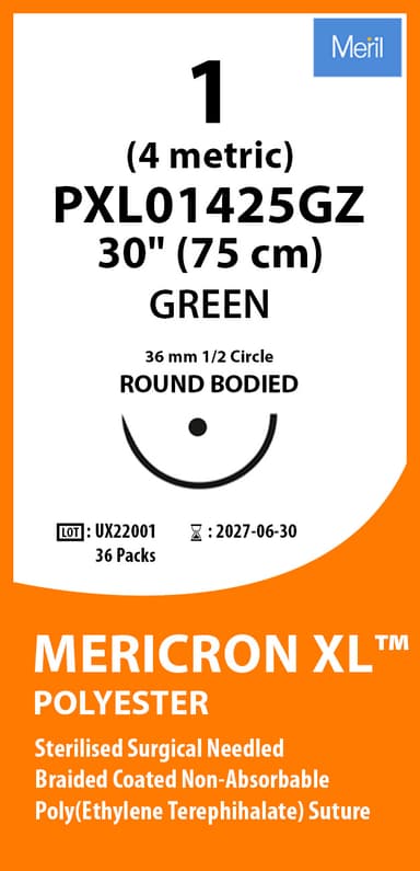 Mericon 1-0